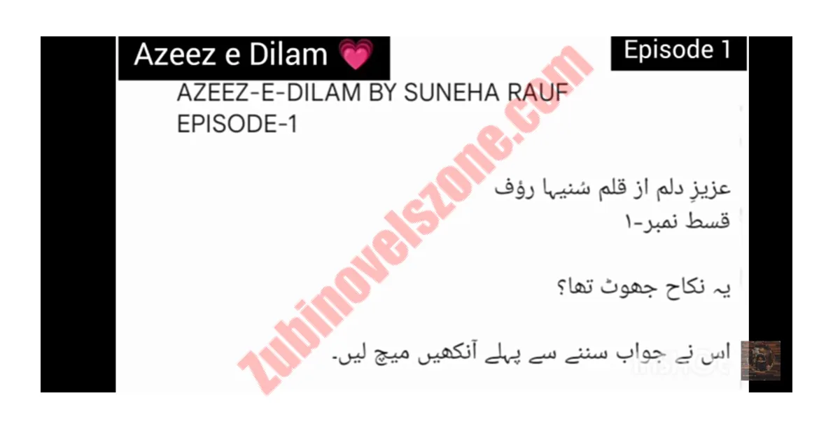 Published cover of Aziz-e-Dilam