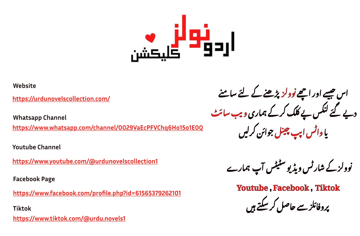 Published cover of Dildaram by Areej Shah