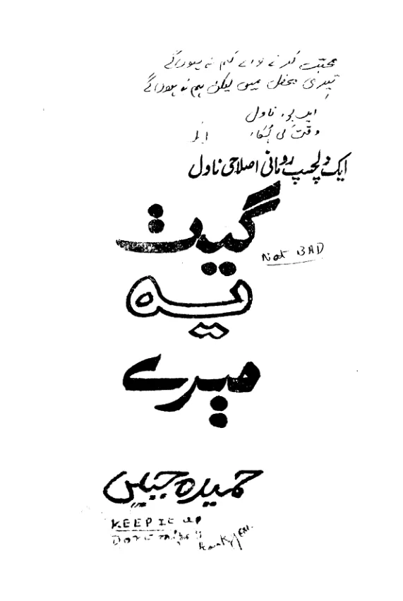 Published cover of Do Hanson Ka Jora by Faiza Iftikhar