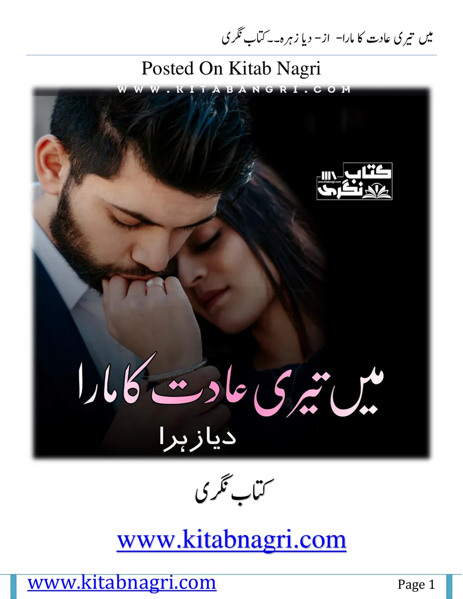 Published cover of Dusri Biwi