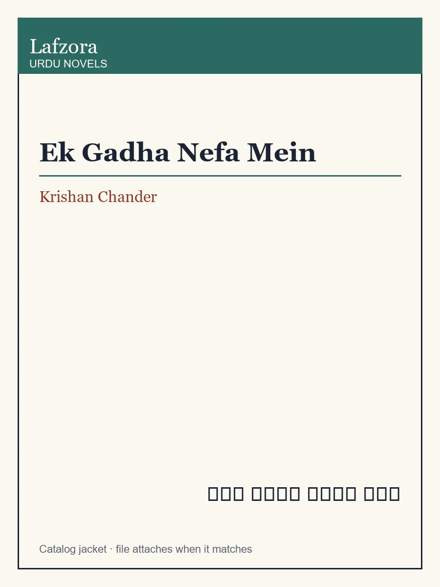 Published cover of Ek Gadha Nefa Mein