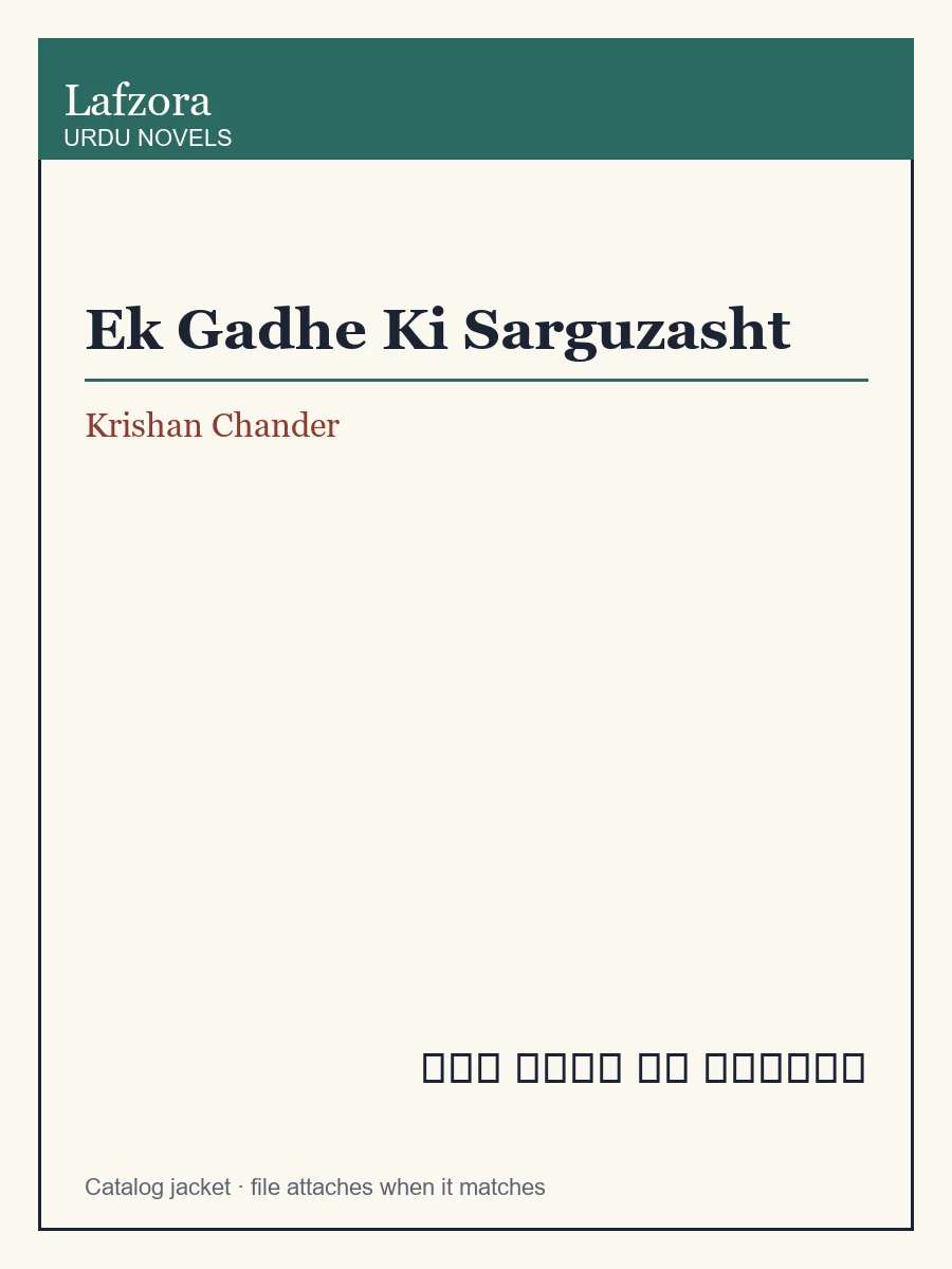 Published cover of Ek Gadhe Ki Sarguzasht