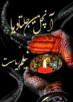 Published cover of Humraaz Mere