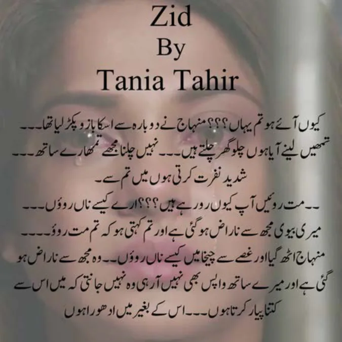 Published cover of Ishq-e-Naab