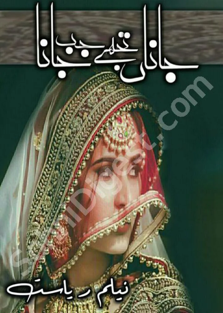 Published cover of Jana Tujhe Jab Jana