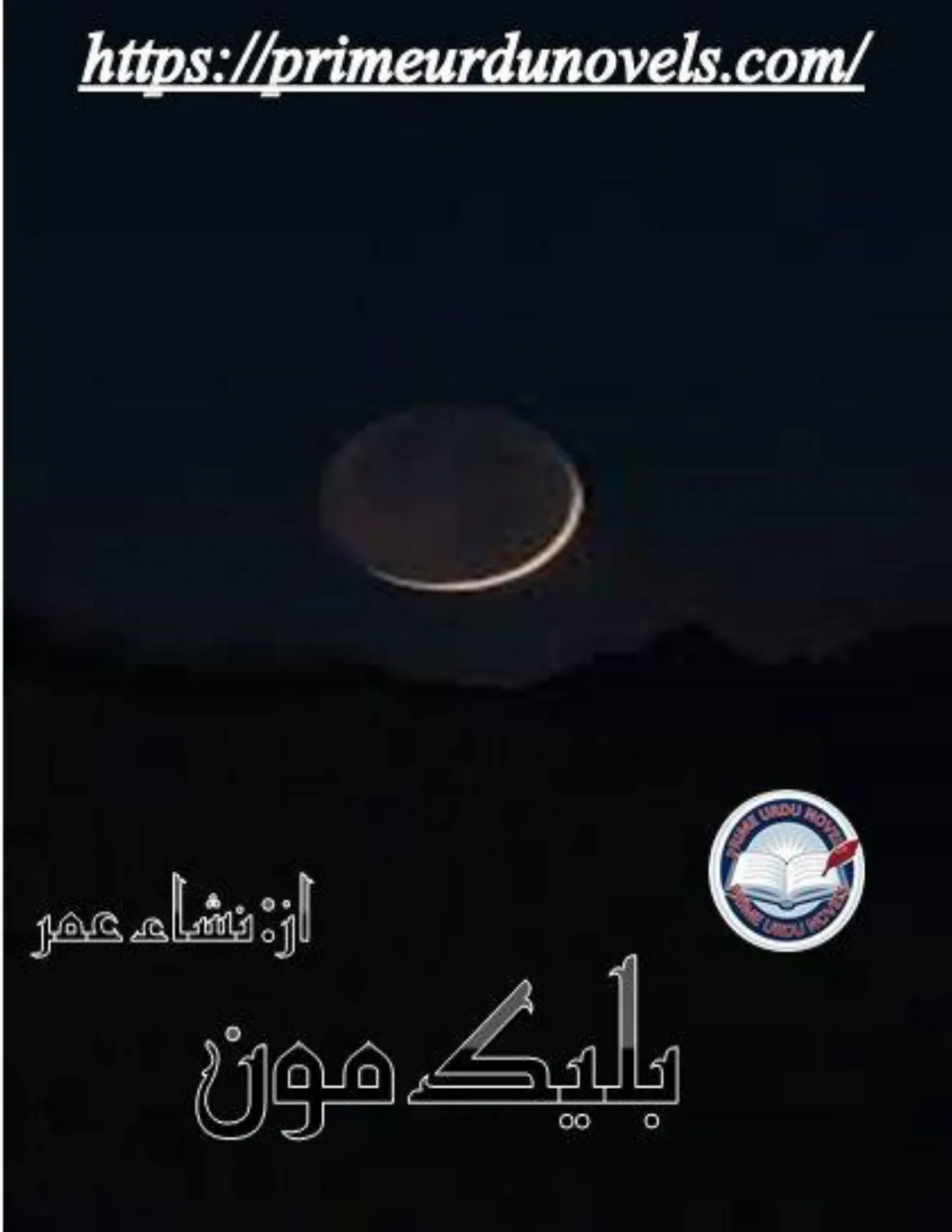 Published cover of Musab by Nisha Umar