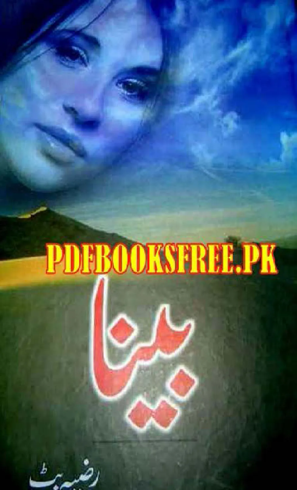 Published cover of Naila by Razia Butt