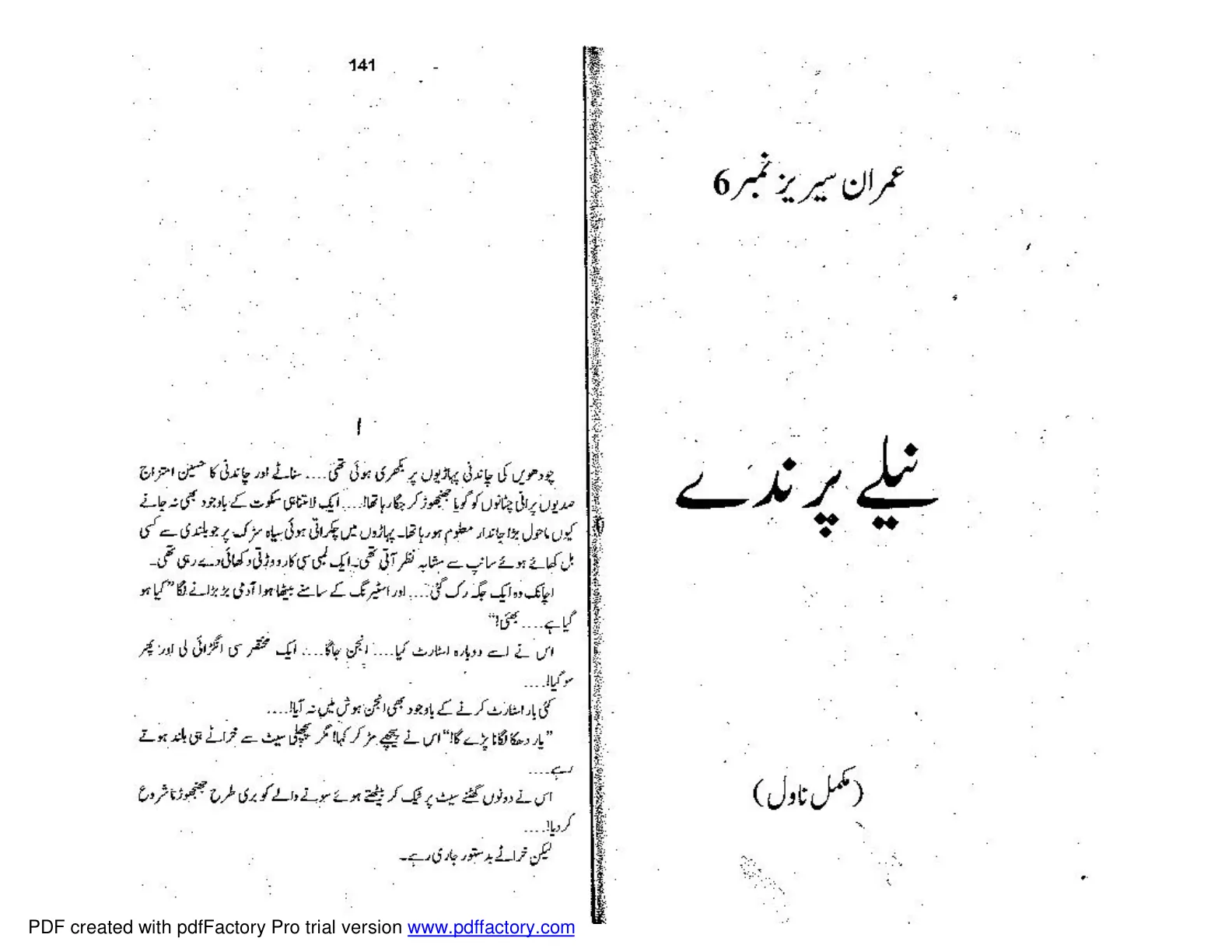 Published cover of Neelay Parinday