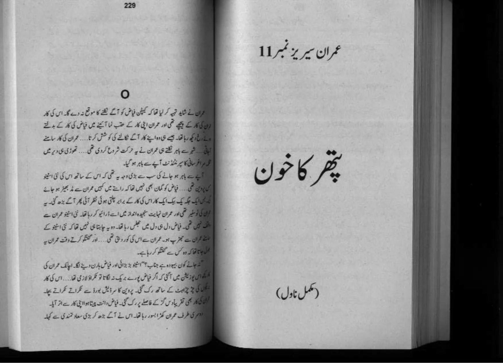 Published cover of Patthar Ka Khoon