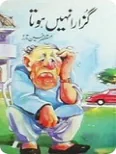 Published cover of Shareek-e-Jaan by Urdu romance novelist