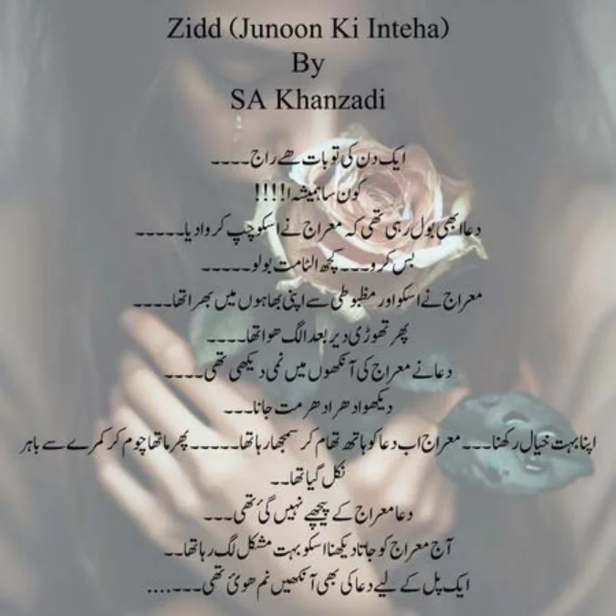 Published cover of Shiddat
