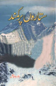 Published cover of Takmeel-e-Ishq by Urdu romance novelist