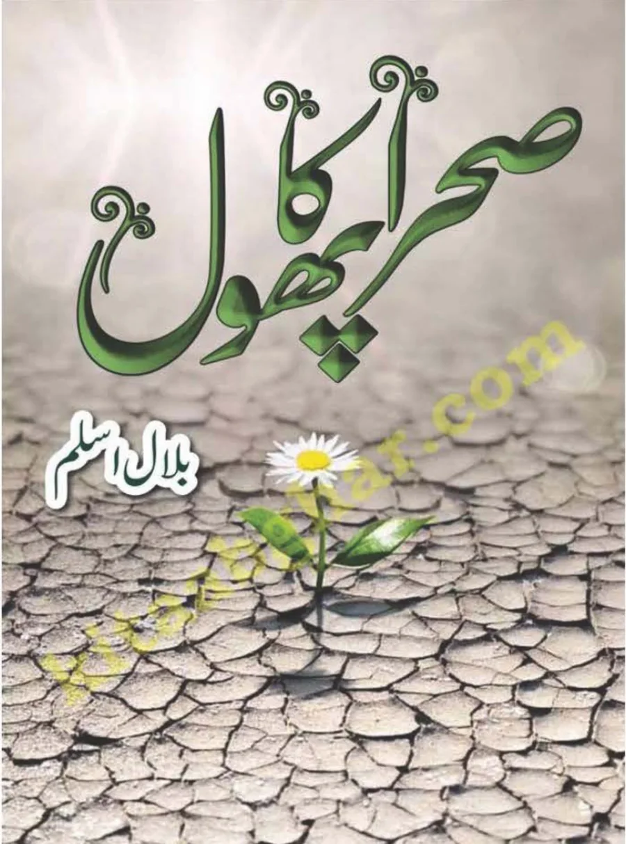 Published cover of Tawaf-e-Ishq by Urdu romance novelist