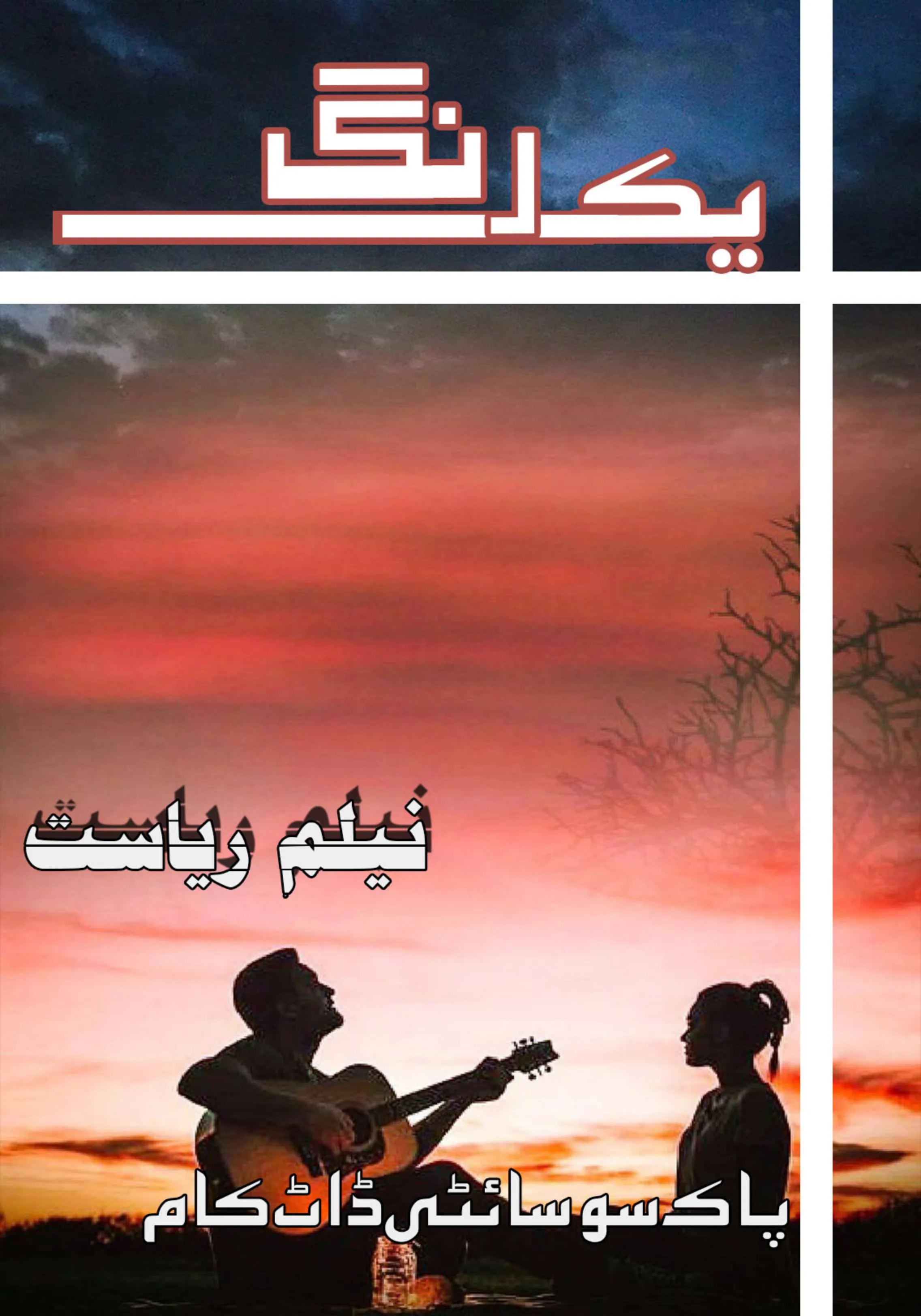 Published cover of Teri Mohabbat Ka Junoon