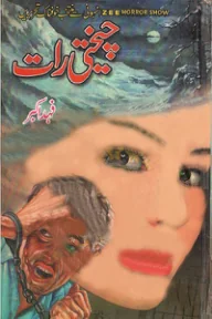 Published cover of Tisdal Ki Bedari by Ibn-e-Safi
