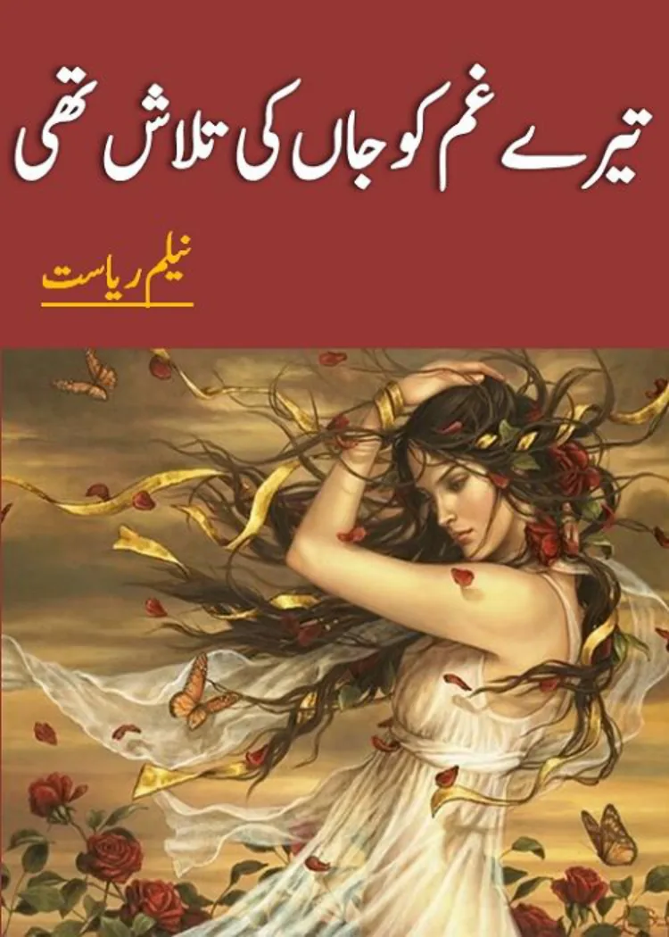 Published cover of Tu Aasman Mein Aa Mil