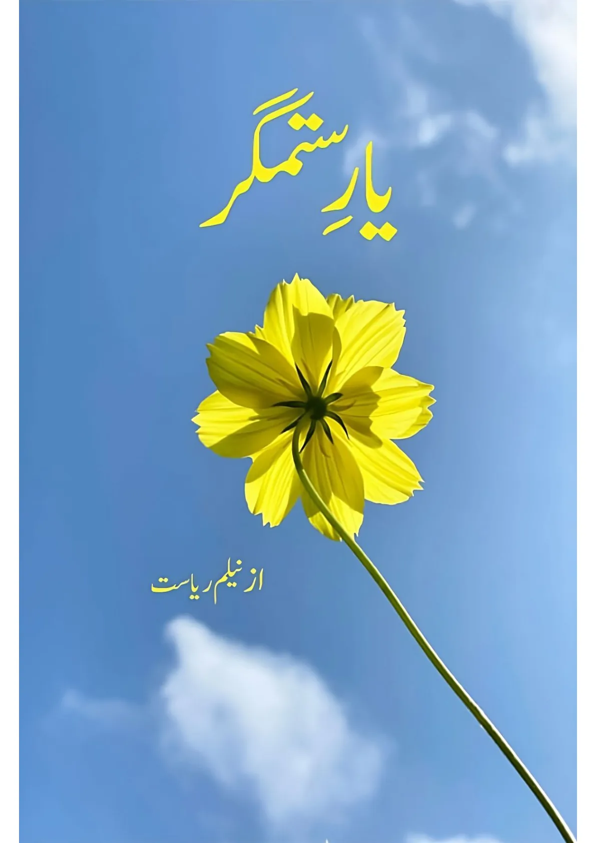 Published cover of Yaar-e-Sitamgar