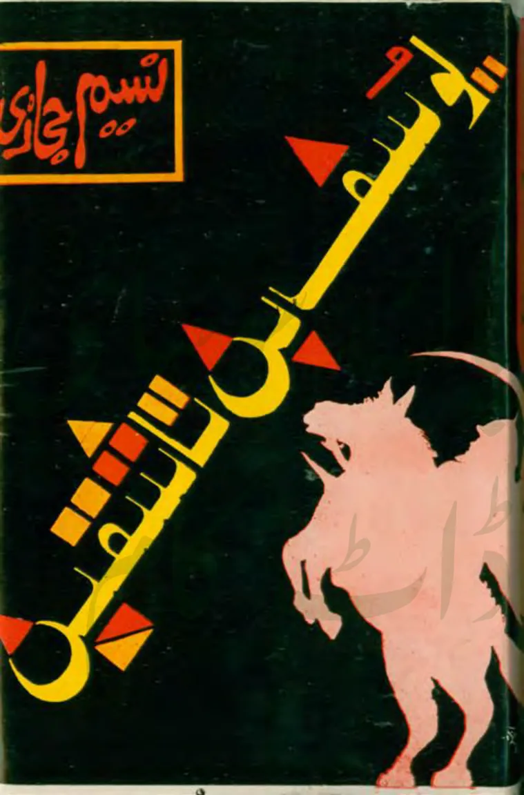 Published cover of Yusuf bin Tashfeen