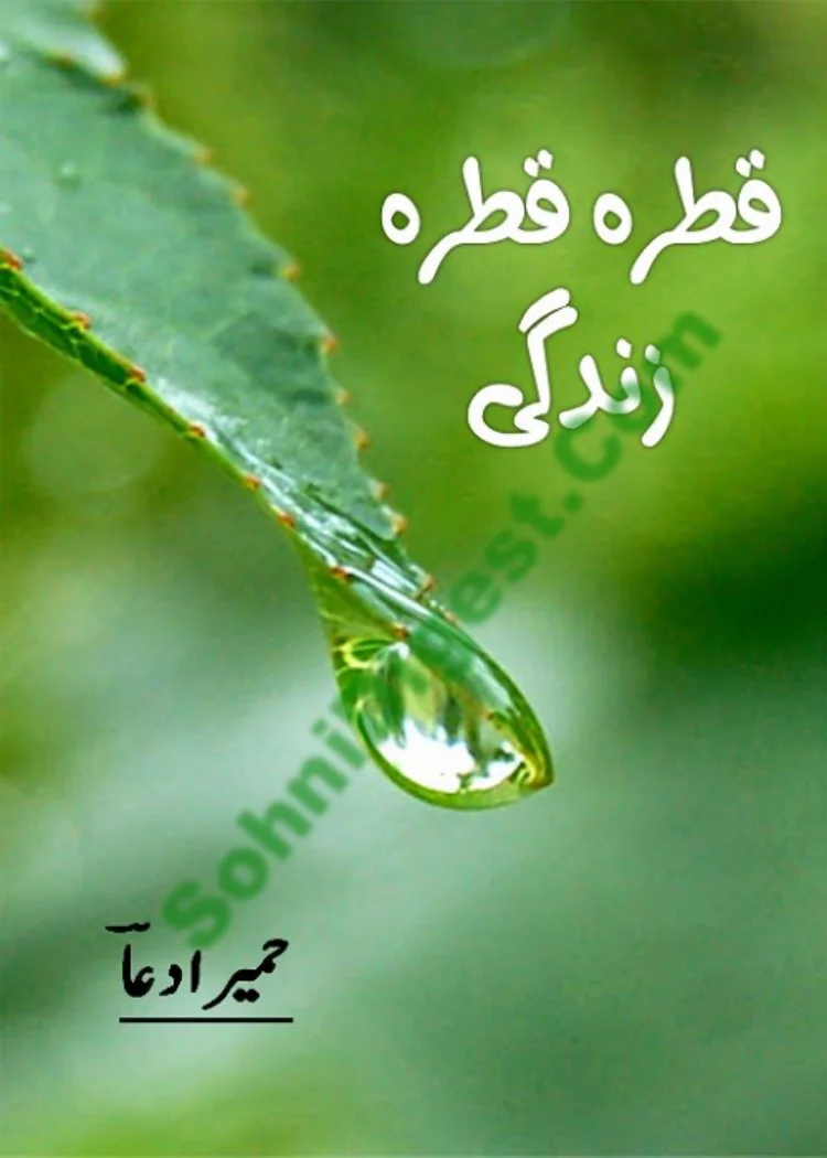 Published cover of Zard Fitna by Ibn-e-Safi
